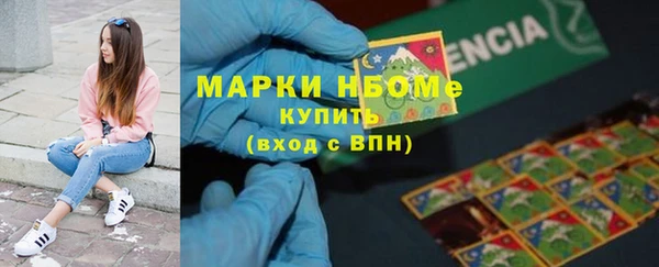 твердый Арсеньев