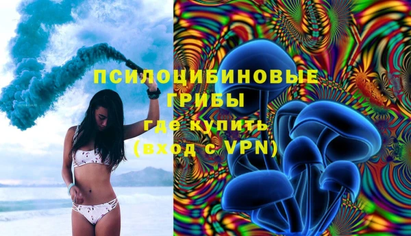 твердый Арсеньев