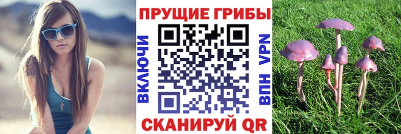 darknet официальный сайт  hydra ONION  Псилоцибиновые грибы Psilocybine cubensis  Благодарный  как найти закладки 