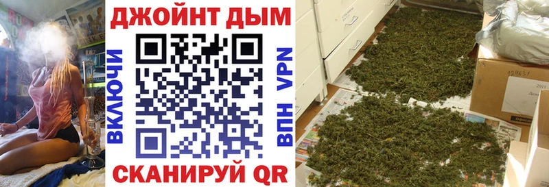 Каннабис индика  где продают наркотики  Благодарный 